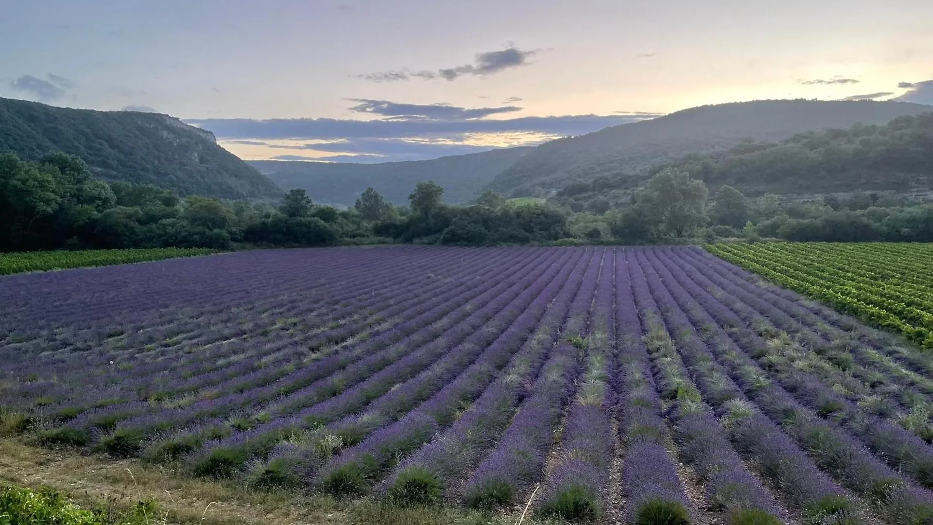 Le Gite De Babeth Saint-Maurice-d'Ibie France